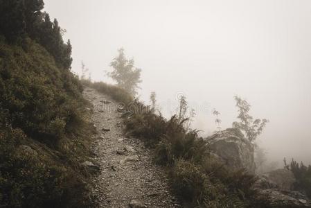山旅行者跟踪采用秋大量的采用薄雾软的v采用tage