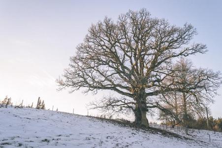 冬乡下的地点和雪和白色的田酿酒的影响