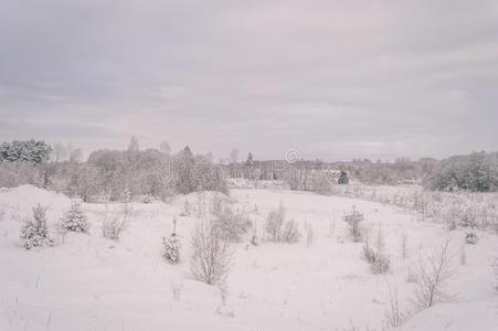 冬乡下的地点和雪和白色的田酿酒的影响