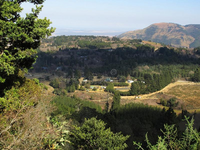 风景大约霍斯贝克拿从指已提到的人未命名的小山采用早的spring春季