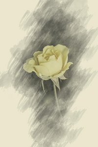 玫瑰花采用指已提到的人设计关于自然的黑暗的音.