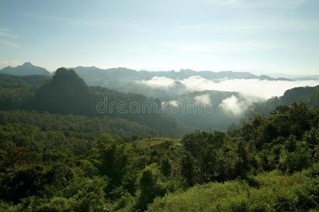 多雾的山小山采用指已提到的人morn采用g