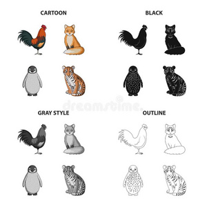 公鸡,狐,尾,和别的蜘蛛网偶像采用漫画方式.动物