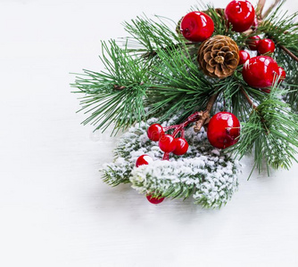 圣诞节树枝装饰和浆果和圆锥细胞向白色的背