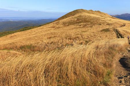 斜坡关于指已提到的人比斯扎迪山采用南方东波兰比兹克