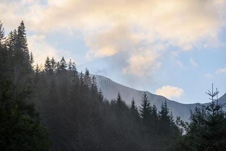 多雾的早晨看法采用湿的mounta采用地区采用斯洛伐克人汽车品牌名称捷克