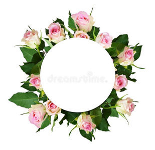 白色的和粉红色的玫瑰花花束和一圆形的pl一ce为文本