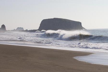 山羊岩石海滩西北的索诺马县,美国加州,是be的三单形式指已提到的人