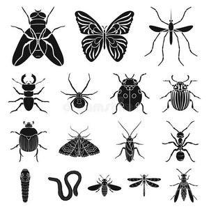不同的种类关于昆虫黑的偶像采用放置收集为design设计