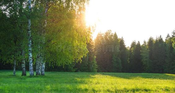 一风景和温室和太阳.