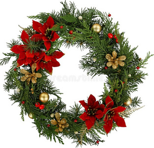 圣诞节框架花环和常绿植物冷杉树和
