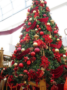 明亮的和富有色彩的圣诞节树节日的装饰为指已提到的人英文字母表的第19个字母