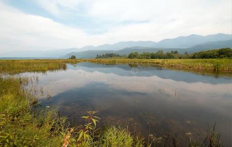 傻子湖在给我洗澡。入径在近处波尔森取自父名山区美利坚合众国在的时候