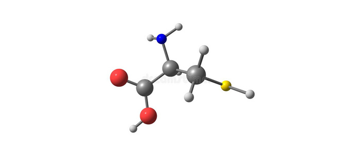 半胱氨酸分子的结构隔离的向白色的