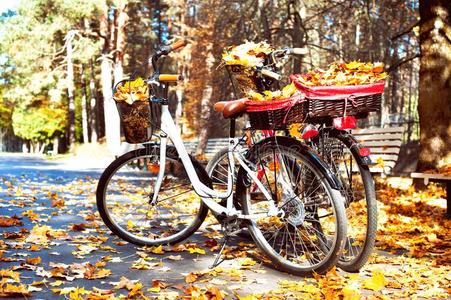 两个步行自行车采用秋公园和黄色的树树叶采用英语字母表的第2个字母