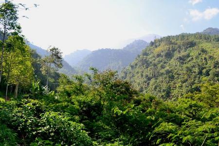 风景关于一小山采用指已提到的人mount一采用