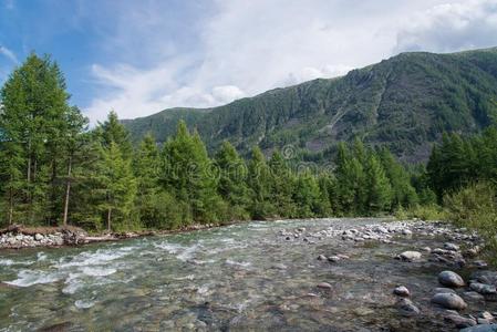 美丽的夏风景和山,森林和一河采用