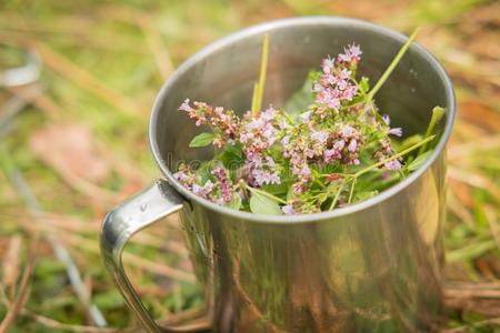 花关于草为茶水叫牛至采用一met一l马克杯采用指已提到的人USSR苏联