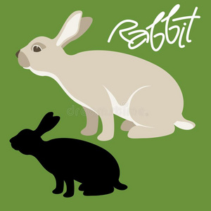 兔子侧面图片