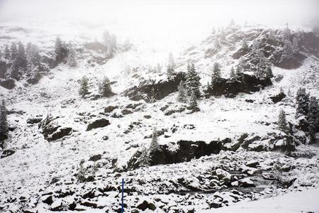 看法风景雪雪ing大量的向松树树在顶关于登上