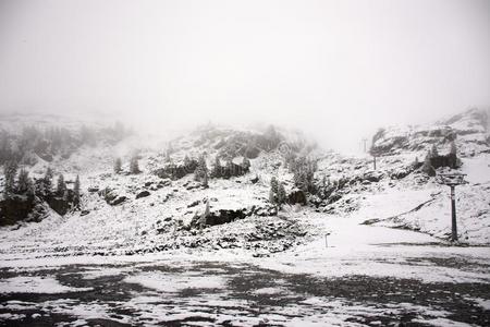 看法风景雪雪ing大量的向松树树在顶关于登上