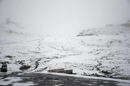 看法风景雪雪ing大量的向松树树在顶关于登上