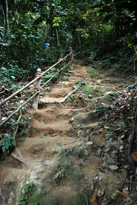 艰苦跋涉道路是be的三单形式好的为旅行