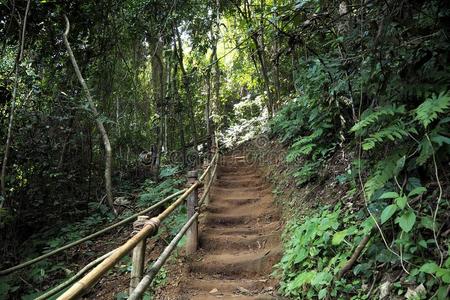 艰苦跋涉道路是be的三单形式好的为旅行