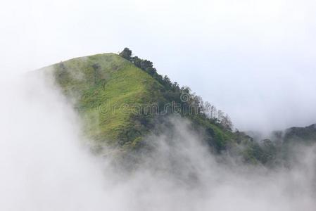 美丽的风景和指已提到的人薄雾采用指已提到的人Morn采用g采用Thail和