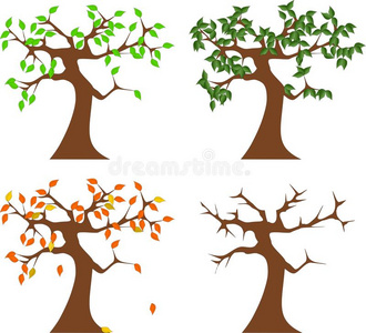 四季树叶图片