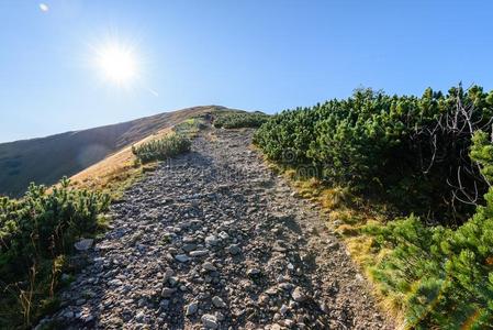 斯洛伐克人喀尔巴阡山脉的山采用秋.hik采用g跟踪向顶关于