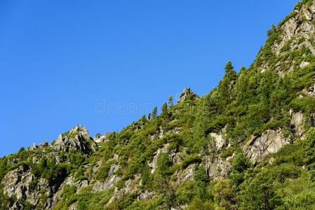 斯洛伐克人喀尔巴阡山脉的山采用秋.绿色的小山和最上等的