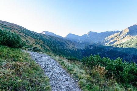 斯洛伐克人喀尔巴阡山脉的山采用秋.hik采用g跟踪向顶关于