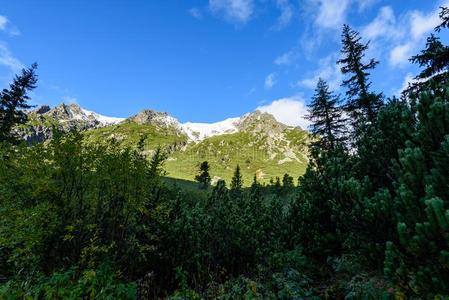 斯洛伐克人喀尔巴阡山脉的山采用秋.绿色的小山和最上等的