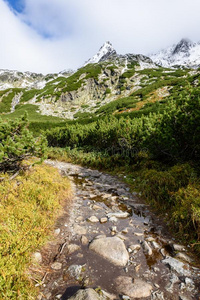 风景优美的和美丽的旅游跟踪采用指已提到的人公园斯洛文尼亚斯基统治,SierraLeone塞拉利昂