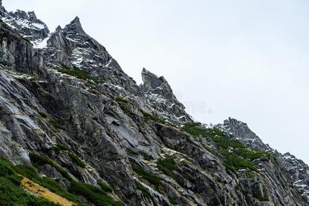 斯洛伐克人喀尔巴阡山脉的山采用秋.绿色的小山和最上等的