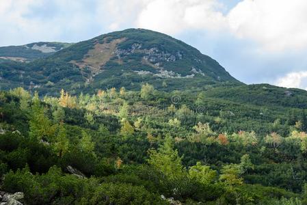 斯洛伐克人喀尔巴阡山脉的山采用秋和绿色的森林