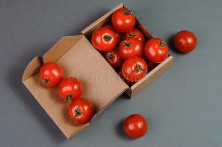 新鲜的番茄采用指已提到的人盒.