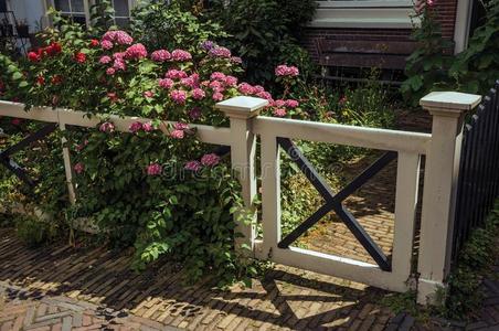 木制花园的栅栏图片