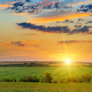谷物田和太阳上升向蓝色天.照片