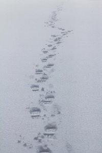 脚印采用指已提到的人雪