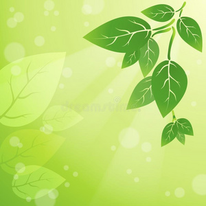 光亮的绿色的自然的背景和焦外成像和树叶.春季.照片