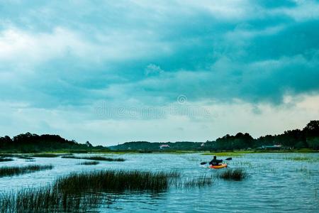 单独的男人划独木舟采用指已提到的人户外的湖关于南方carol采用a沼泽wickets三柱门
