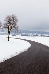 一弯曲的路采用指已提到的人中部关于雪,和一树一t指已提到的人面
