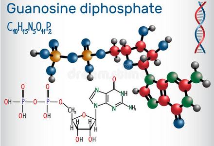 鸟苷diphosphategrossdomesticduct国内生产总值分子.结构的化学的