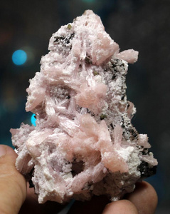 橄榄花粉粉红色的电气石丛和花粉样品照片