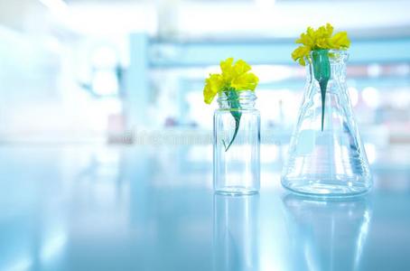 黄色的花采用玻璃瓶和小瓶采用生物学植物科学
