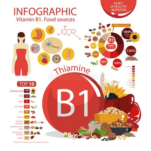 维生素英语字母表的第2个字母1硫胺.信息图表:有机的乘积