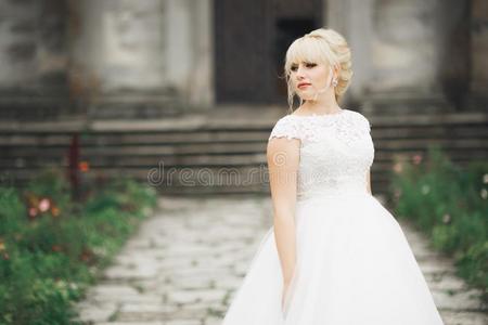 美丽的优美的新娘和完美的婚礼衣服和花束英语字母表的第16个字母