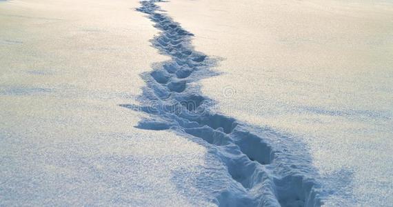 小路和脚印采用雪采用w采用ter.